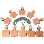 Set manichini RCP adulto Ambu Man School (Conf. 10 pz.)